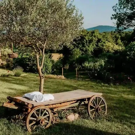 Villa Opulent With Sauna In The Heart Of Karst *