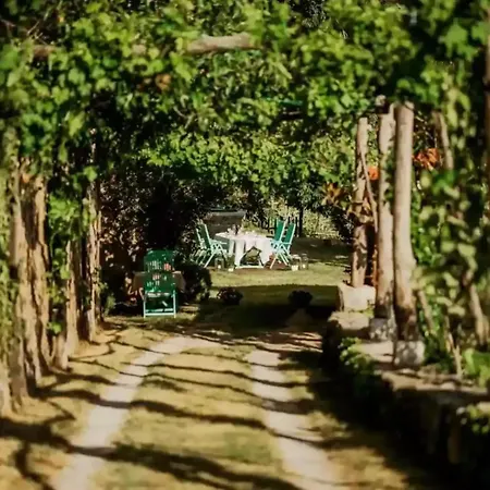 Opulent With Sauna In The Heart Of Karst Villa