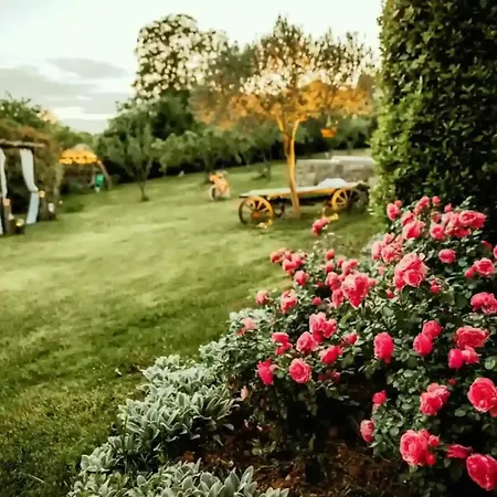 Opulent With Sauna In The Heart Of Karst *