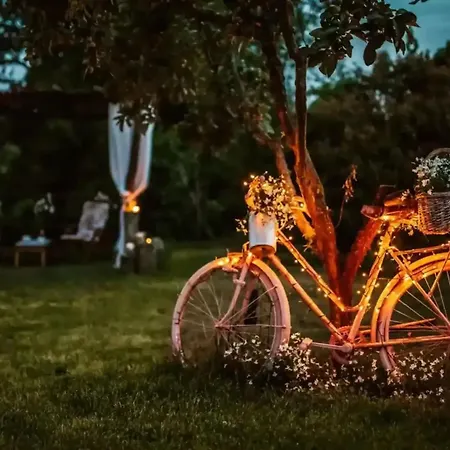 Villa Opulent With Sauna In The Heart Of Karst Dutovlje