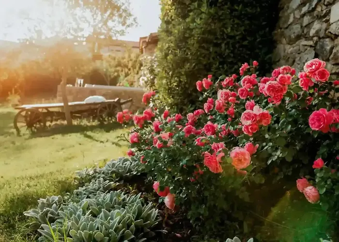 Opulent With Sauna In The Heart Of Karst