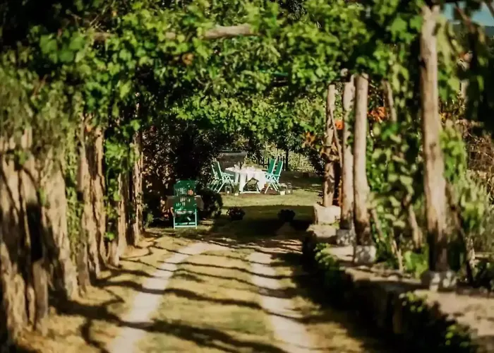 Opulent With Sauna In The Heart Of Karst Villa